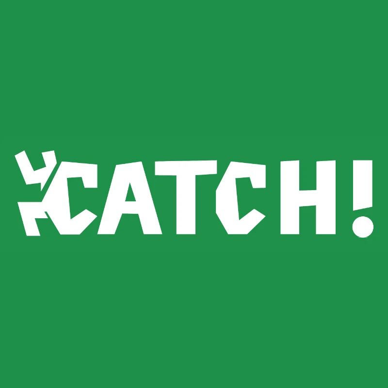 Catch Scripture Escape