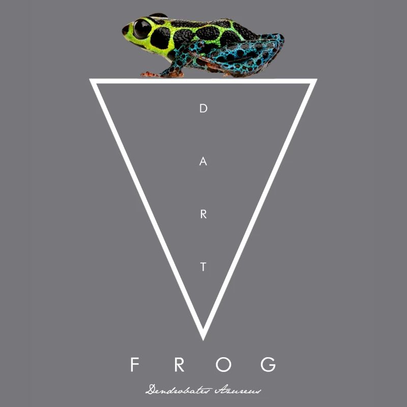 Mimische Pfeilgiftfrosch Ranitomeya Imitator