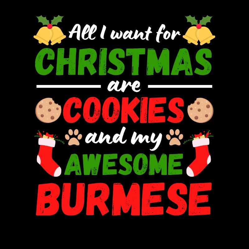 Biscuits de chat de Noël Birmanie