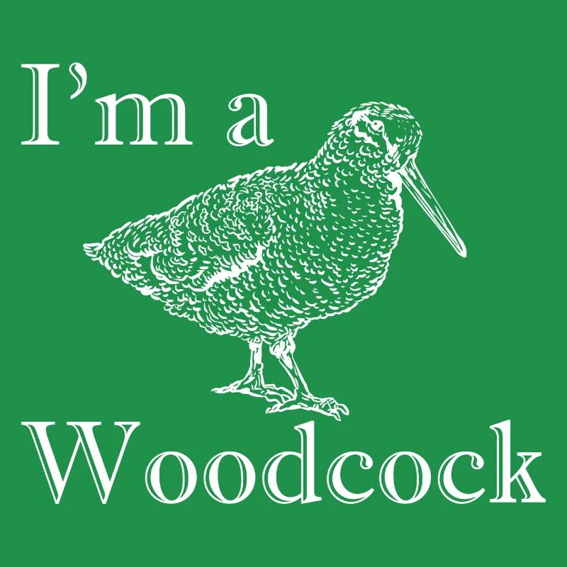 Ich bin eine Waldschnepfe