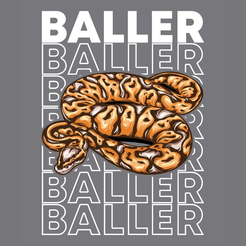 Ball Python 80's Style Baller Royal Python Snake