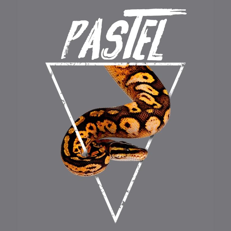 Pastel Ball Python Besitzer