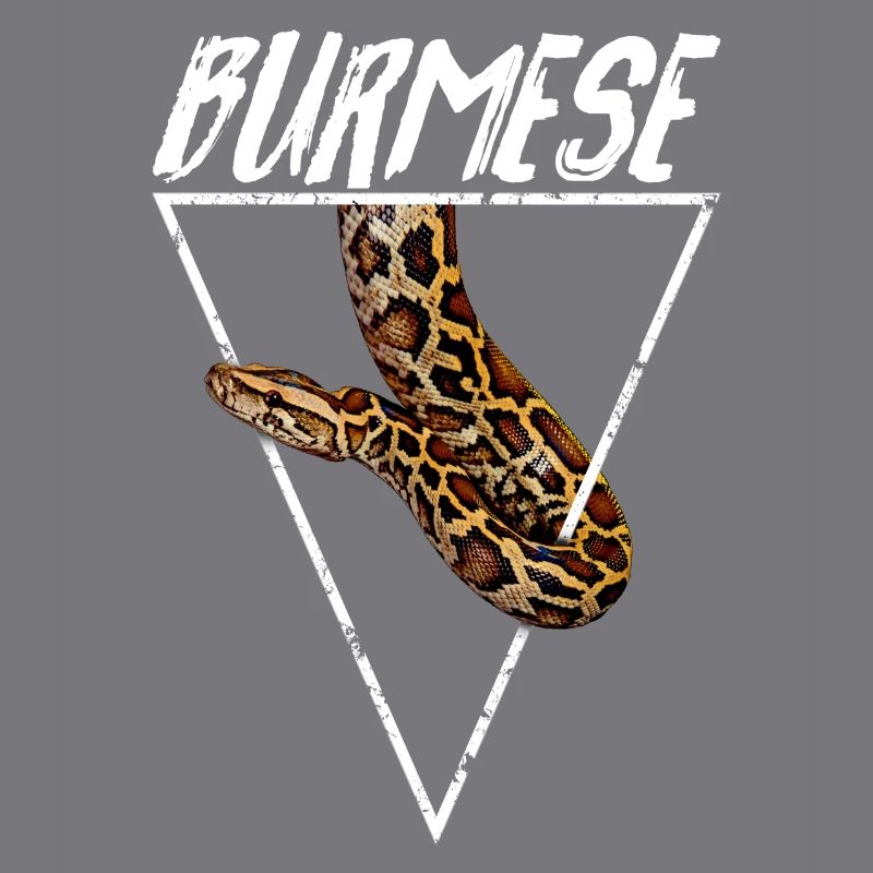 Propriétaire Python Birman Géométrique