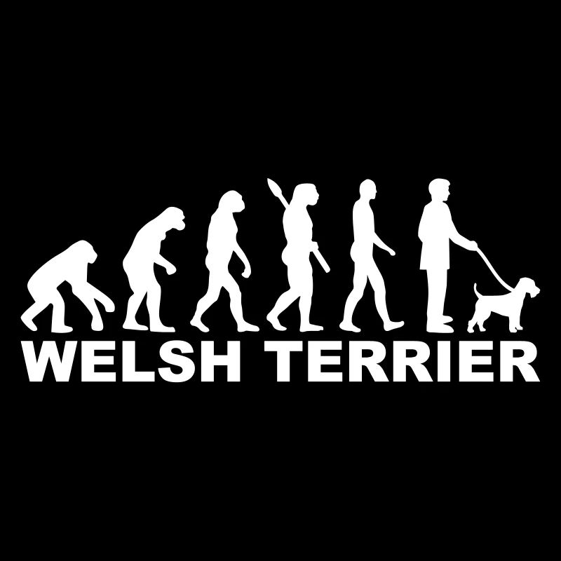 Welsh Terrier