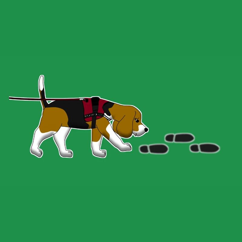 Mantrailing Beagle