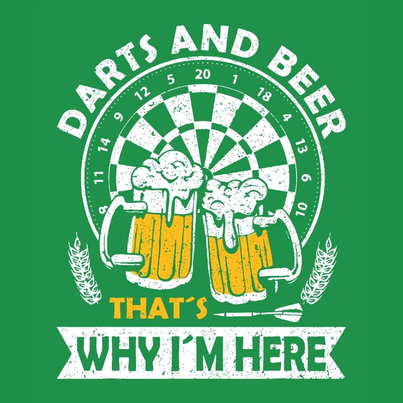 Dart Player Dart Board One Dart Competition Arrowd