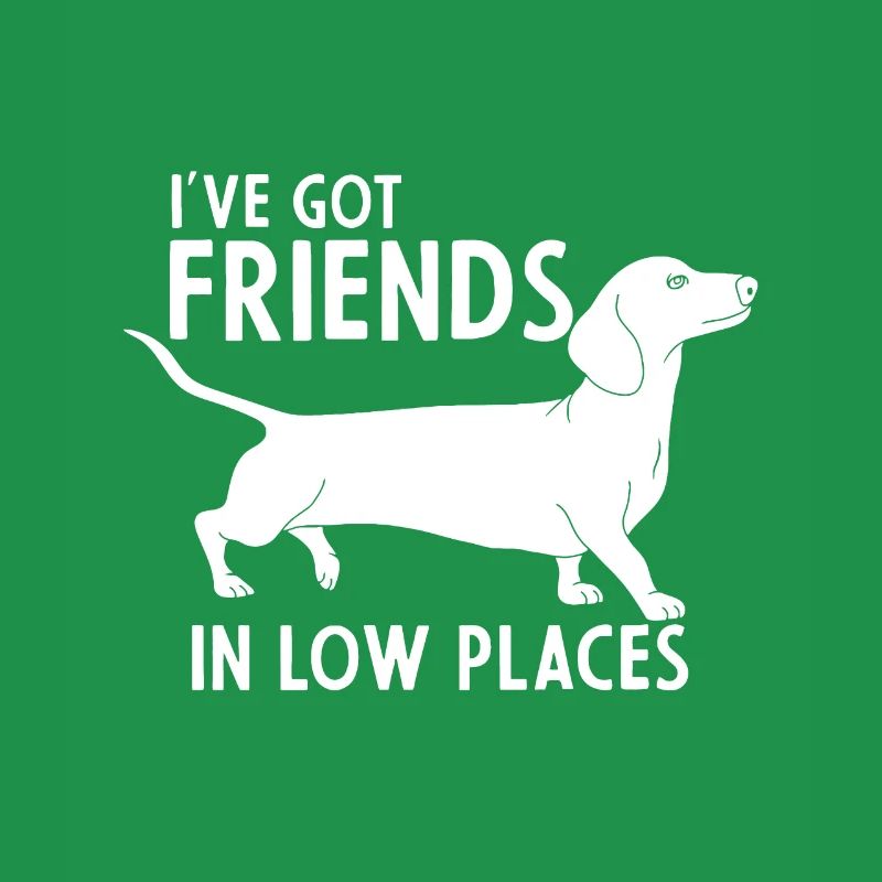 teckel j’ai des amis dans des endroits bas chien mignon