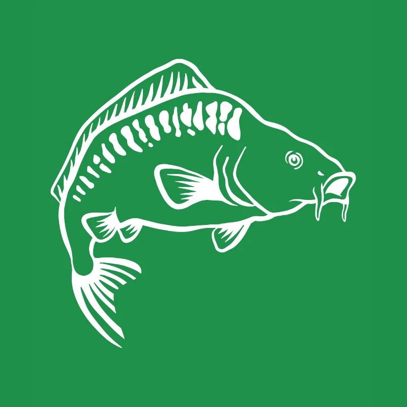 Requins pêcheurs de carpes