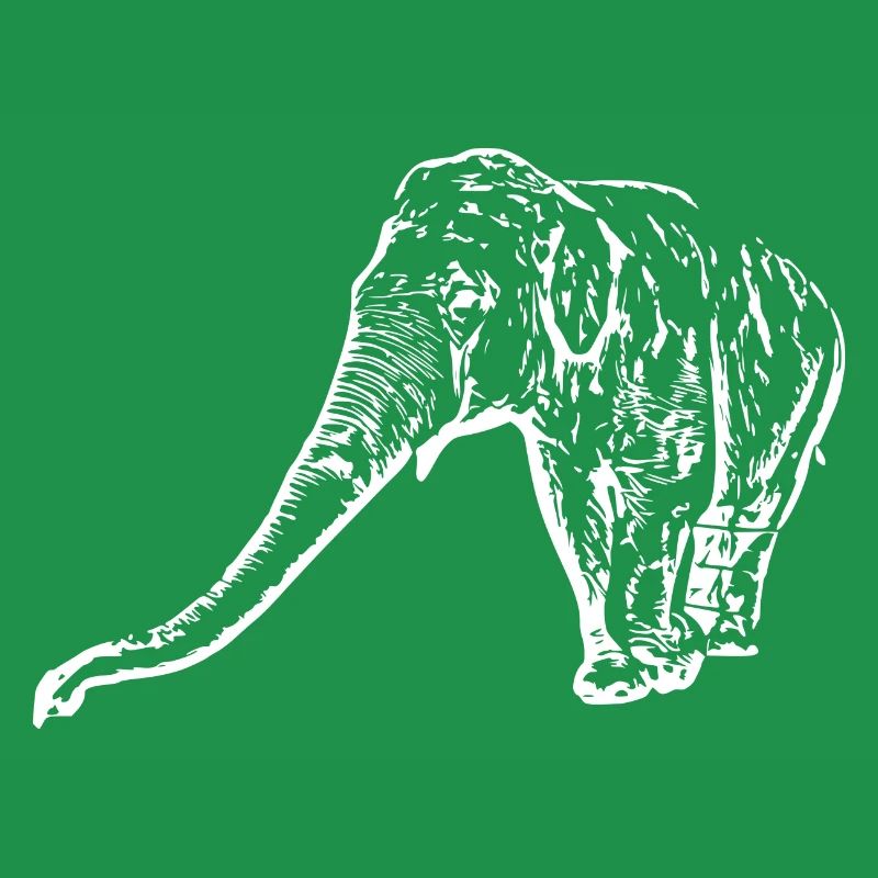 Elephant white