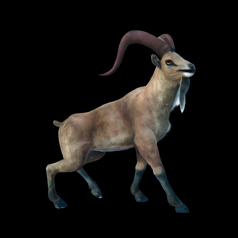 Realistic Markhor
