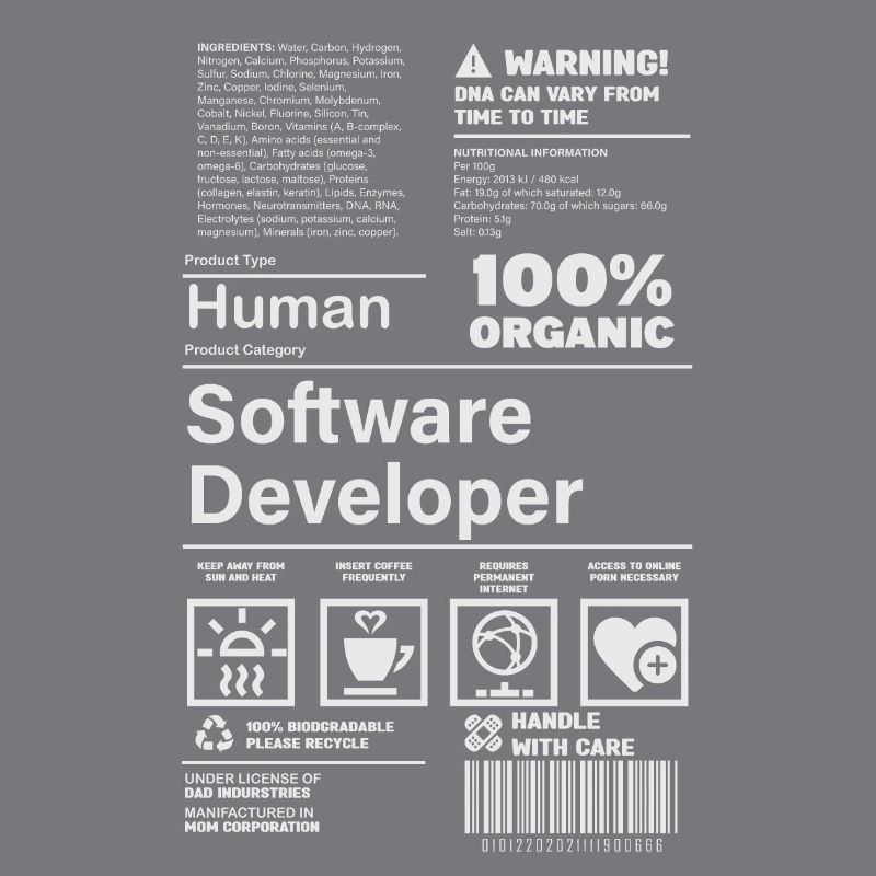 Software Developer
