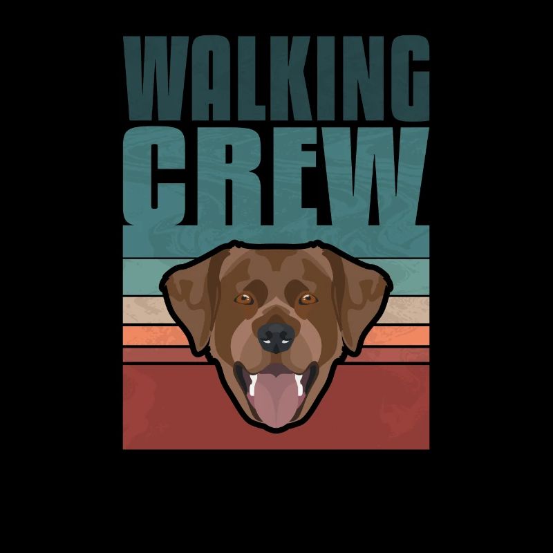 Gassi Crew, Chocolat Labrador, Lab