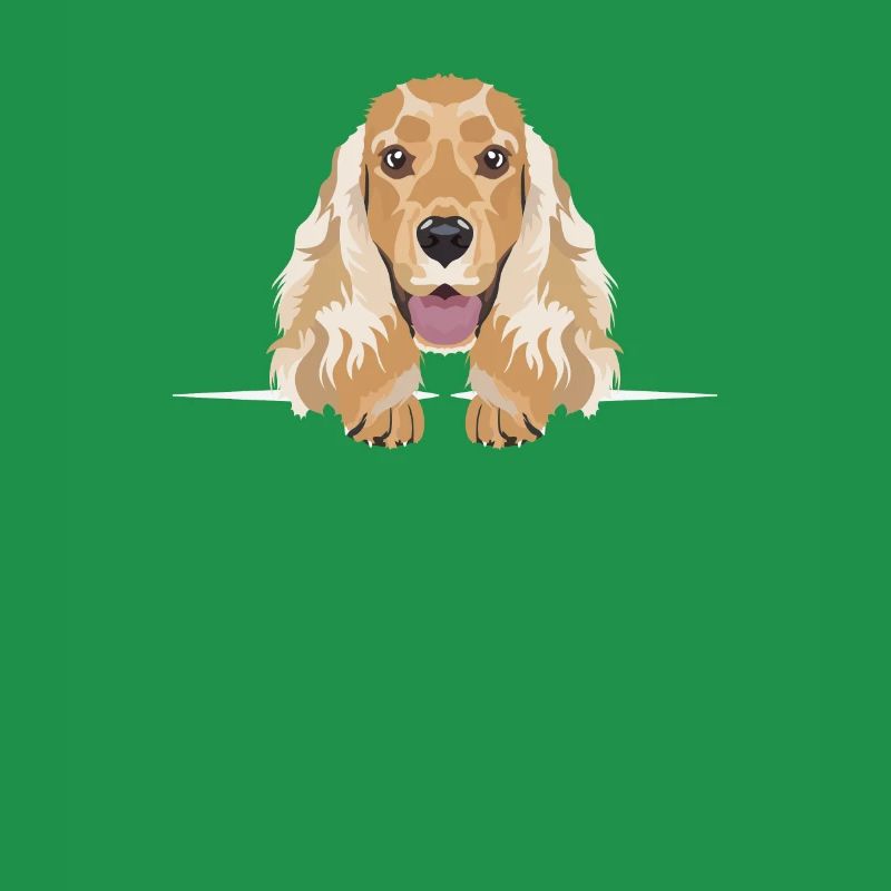 Cocker anglais souriant Spaniel