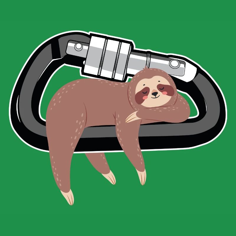 Climbing Sloth Sleeping On A Carabiner