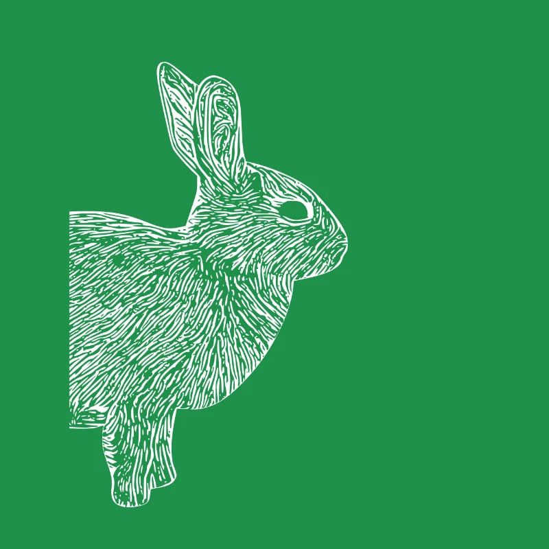 Cute Rabbit Hasi Gift