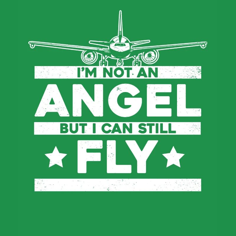 Pilot Aircraft Pilot Aviation