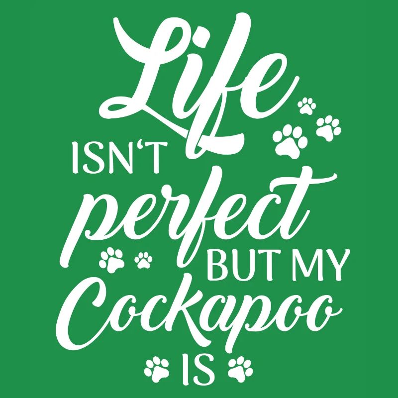 Cockapoo Dog