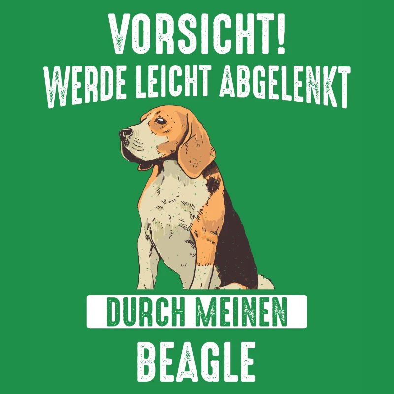 Beagle Hund