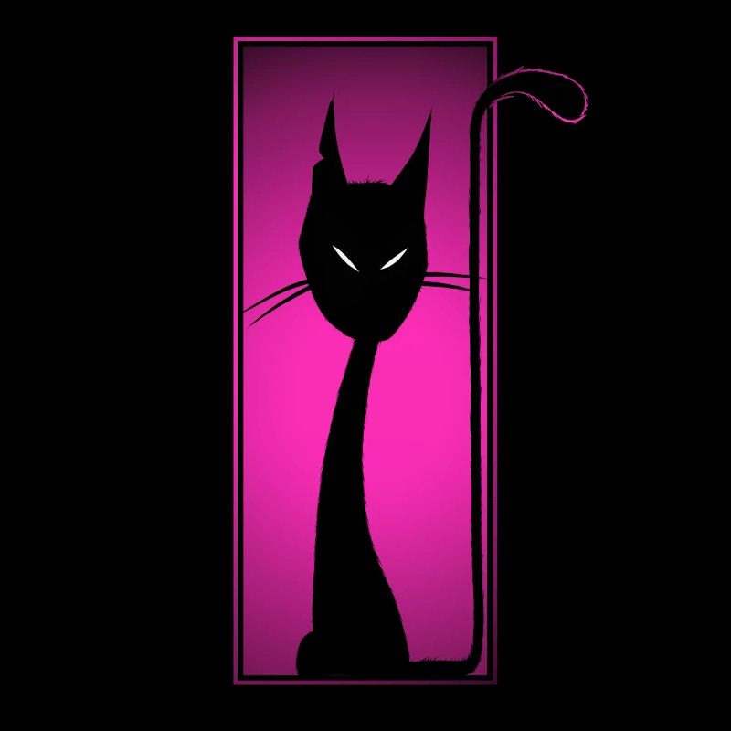 Chat noir, chat noir, drôle, flippant