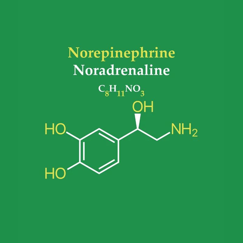 Norepinephrine Molécule
