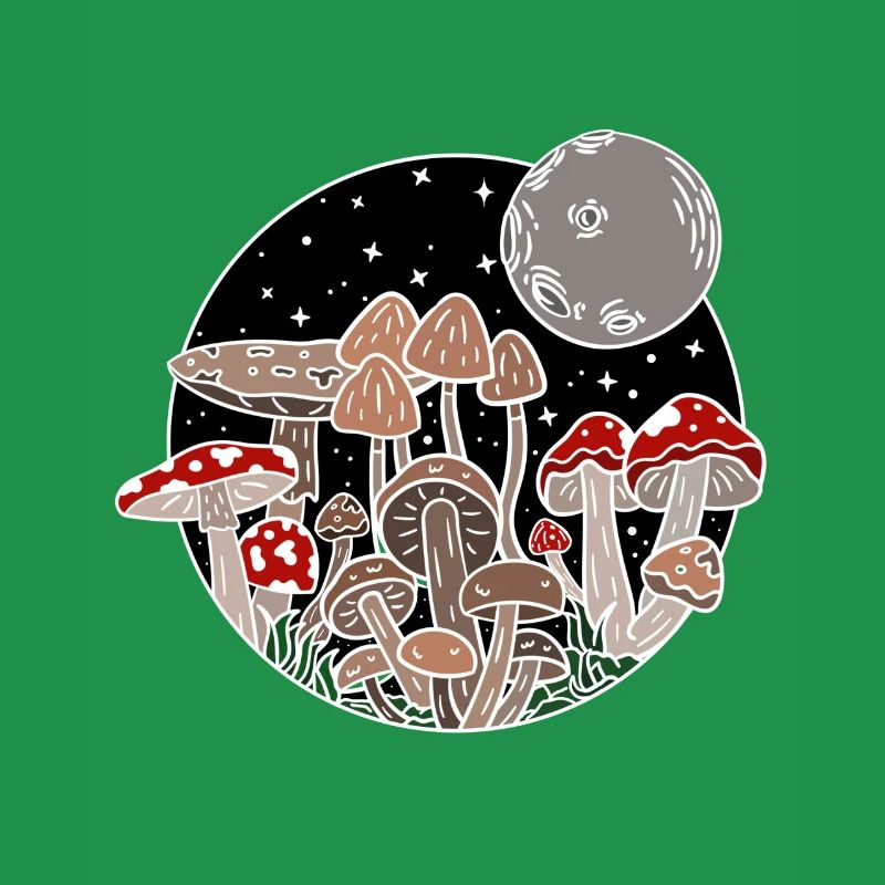 Les champignons adorent