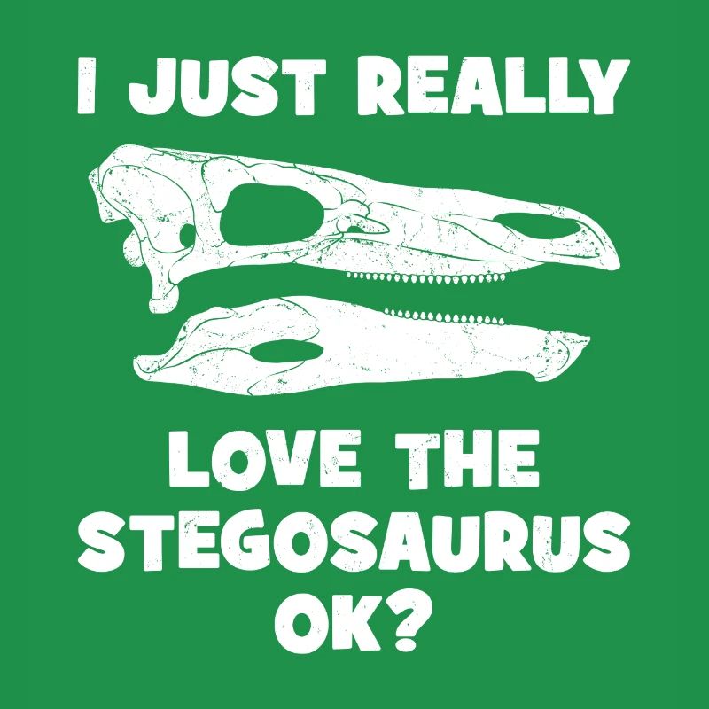 Stegosaurus Fossil Skull