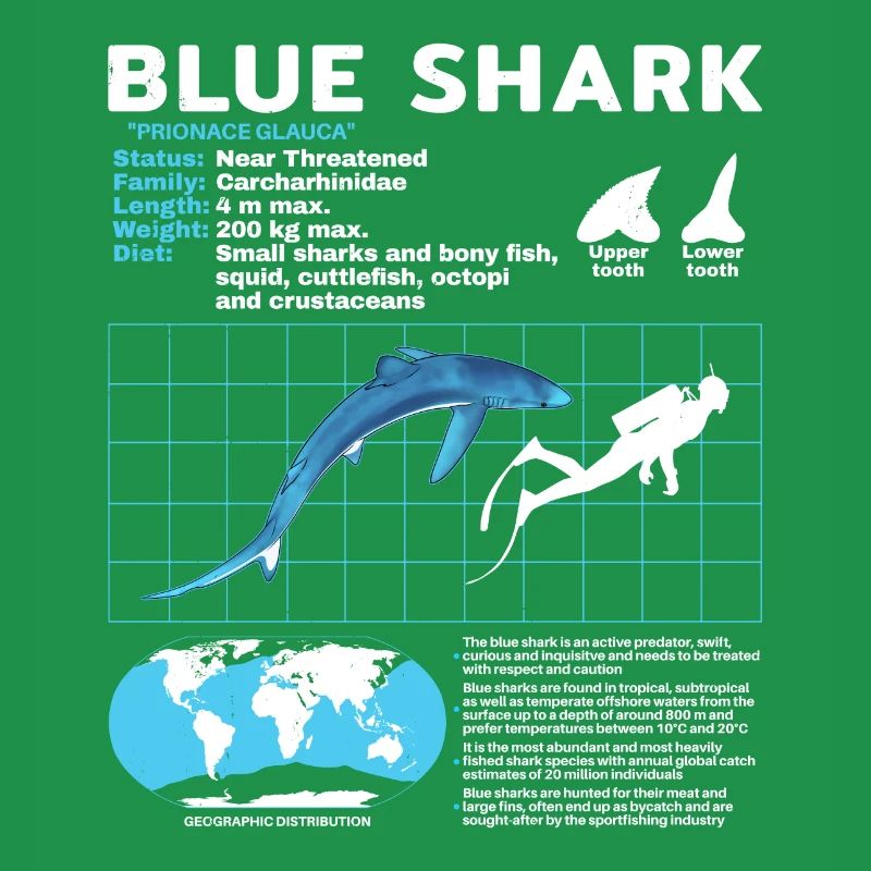 Blue Shark Datasheet Fact Sheet
