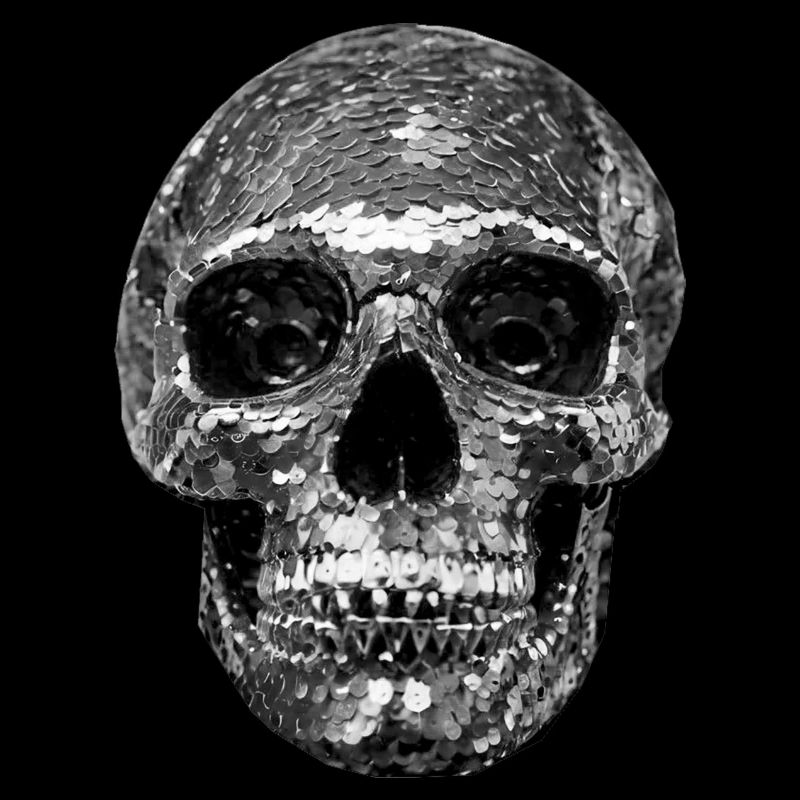 Skull, metallic, sequins, rivets, silver