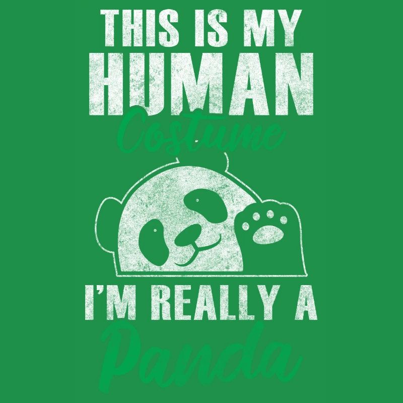 Panda Géant Panda Chine Mignon