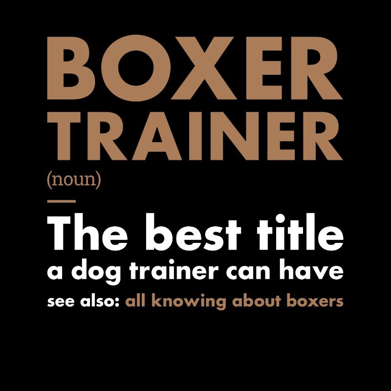 Boxer Trainer Definiton