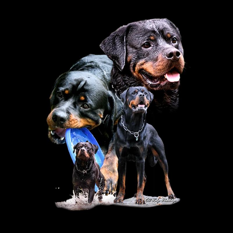 Hunde