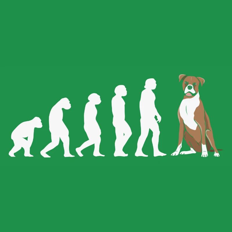 Evolution Boxer