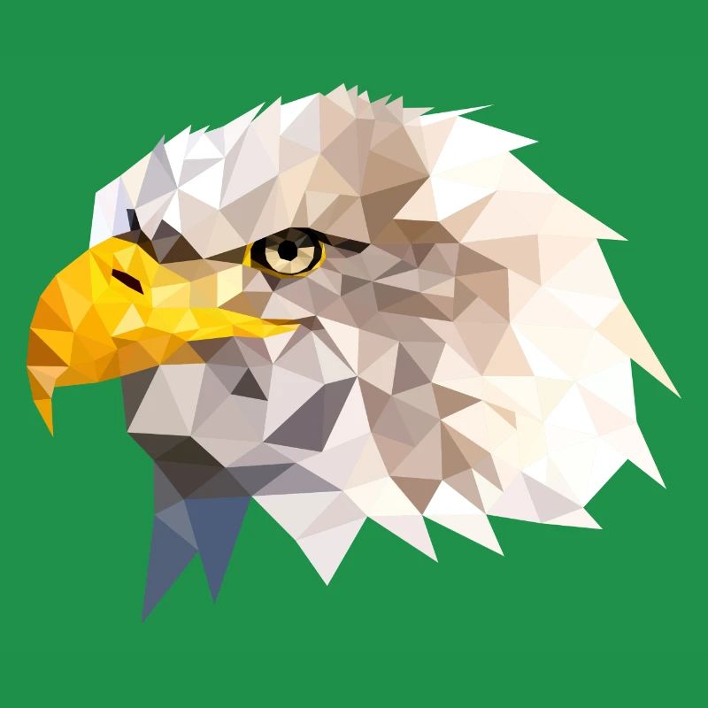 Bald Eagle Sea Eagle American Eagle Eagle