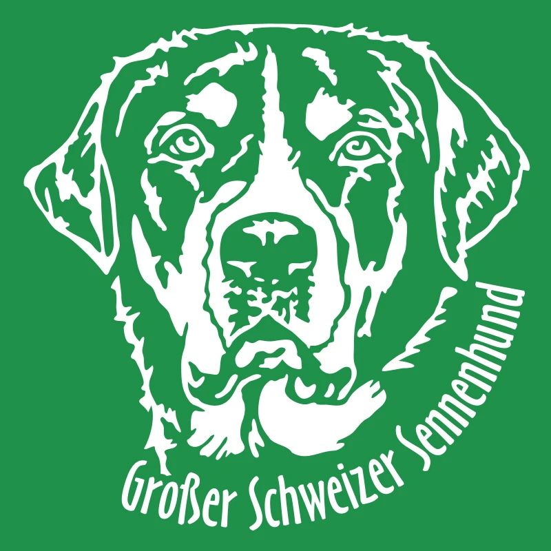 492 Großer Schweizer Sennenhund