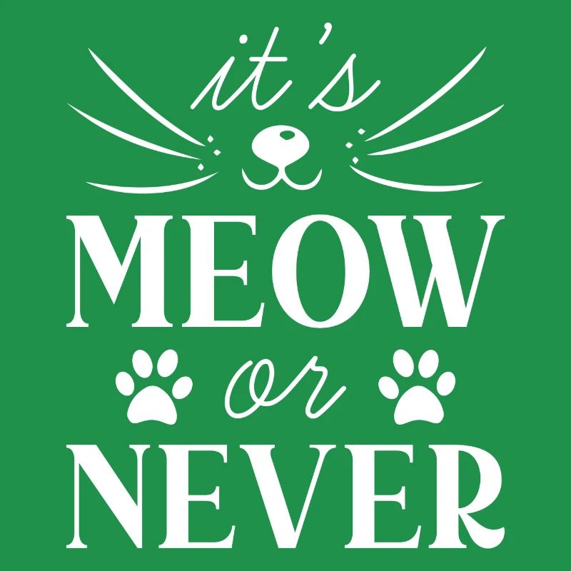 It’s Meow Or Never
