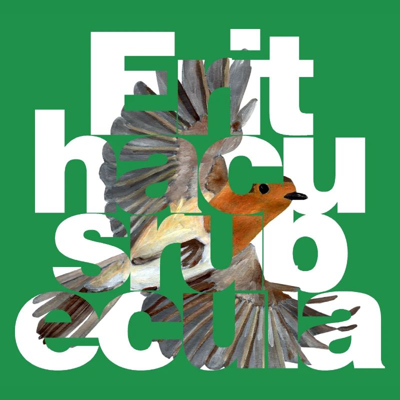 Erithacus rubecula - Rotkehlchen