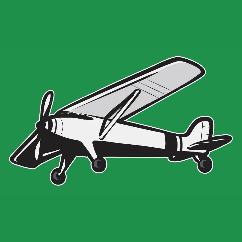 Modèle d’avion télécommandé