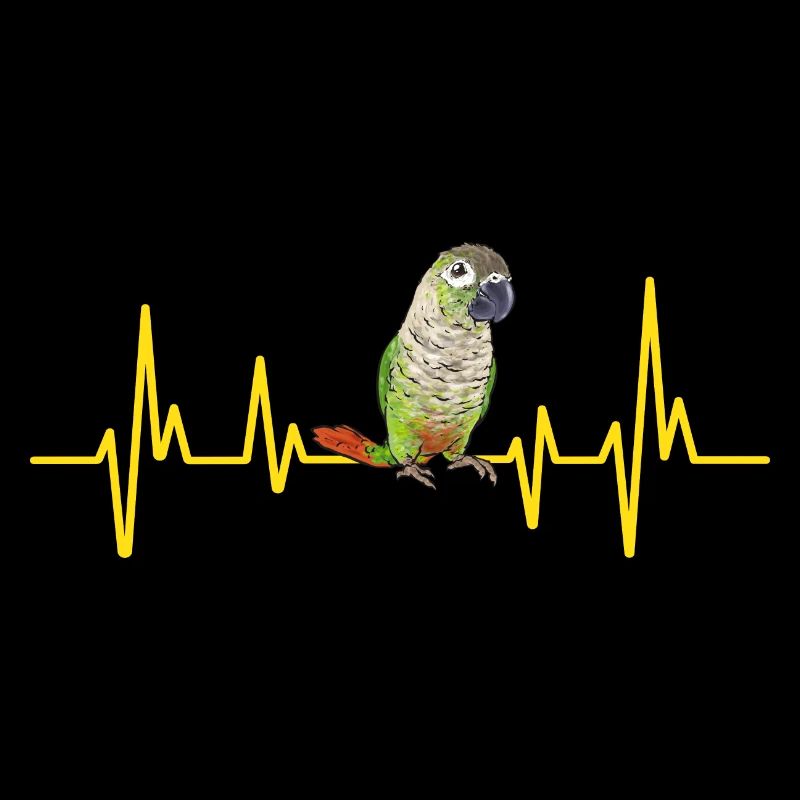Molina Perruche Perroquet Perruche Oiseau Perruche