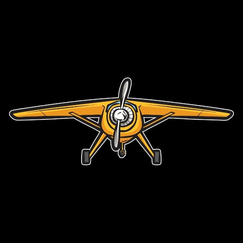 Remote Controlled Airplane Model Airplane