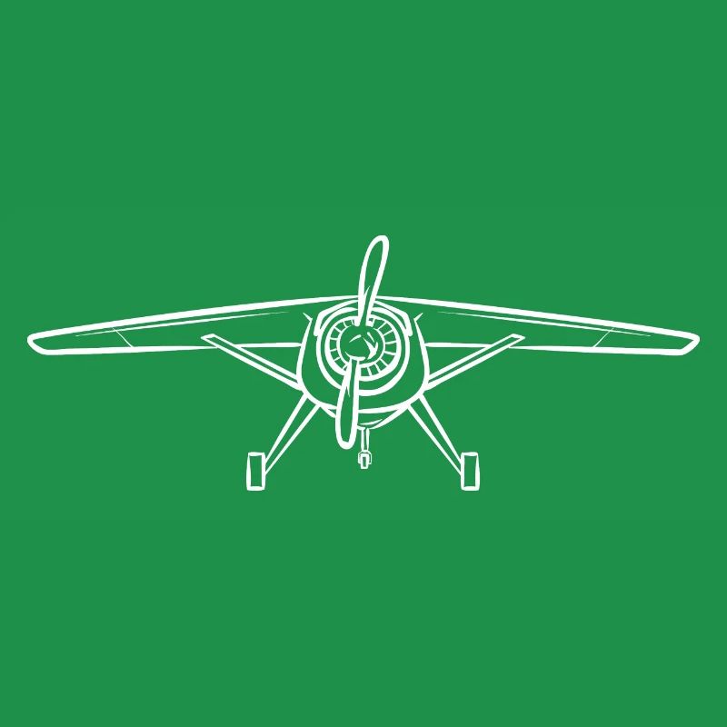 Modèle d’avion télécommandé