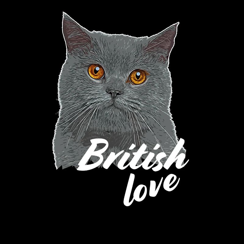 BKH Britisch Kurzhaar Britische Kurzhaar Katze