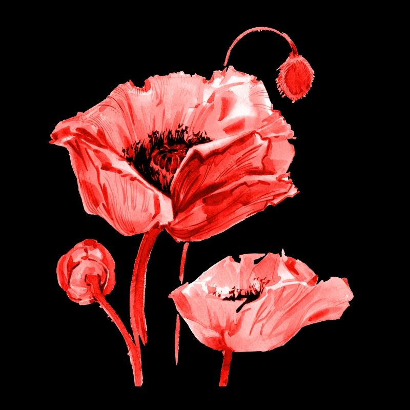 Coquelicot