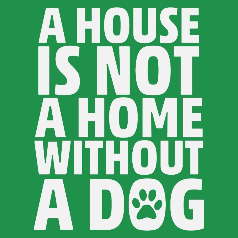 Une maison n’est pas une maison sans chien