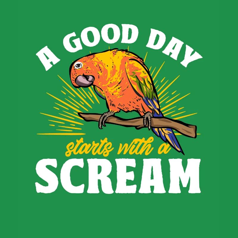 Molinasittich Parrot Bird Sun Parakeet