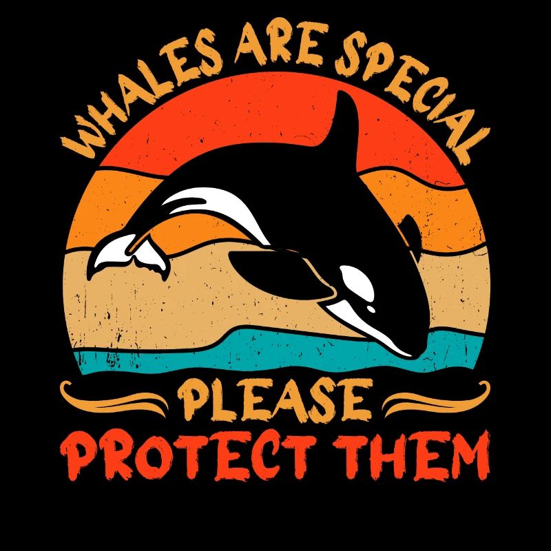 Orca Meeresbiologe Schwertwal Killerwal