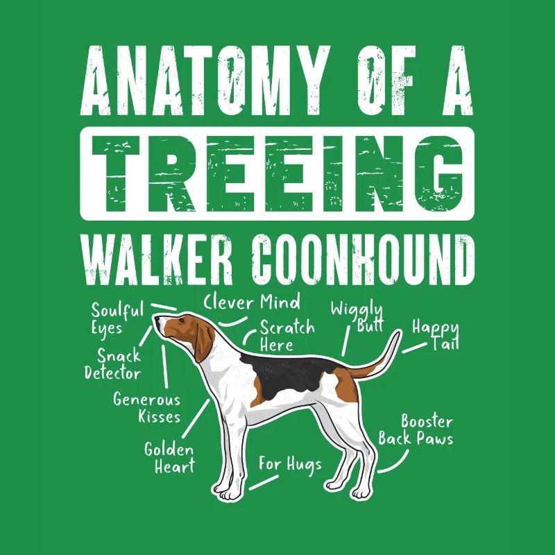 Treeing Walker Coonhound