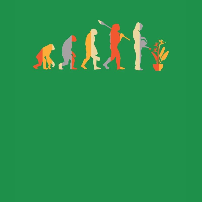 Evolution Jardinier Plante Arrosage Peut Strelizia