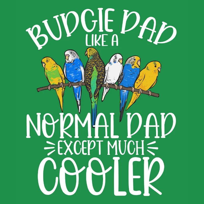 Budgerigar Perruche Oiseau Cadeau pour animaux de compagnie
