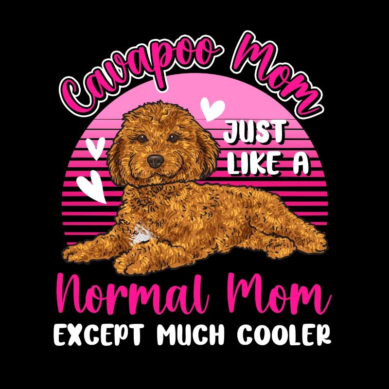 Cavapoo Cavoodle Capoodle Hund