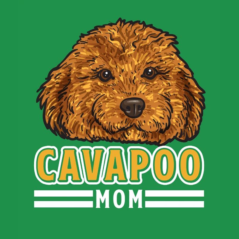 Cavapoo Cavoodle Capoodle Chien